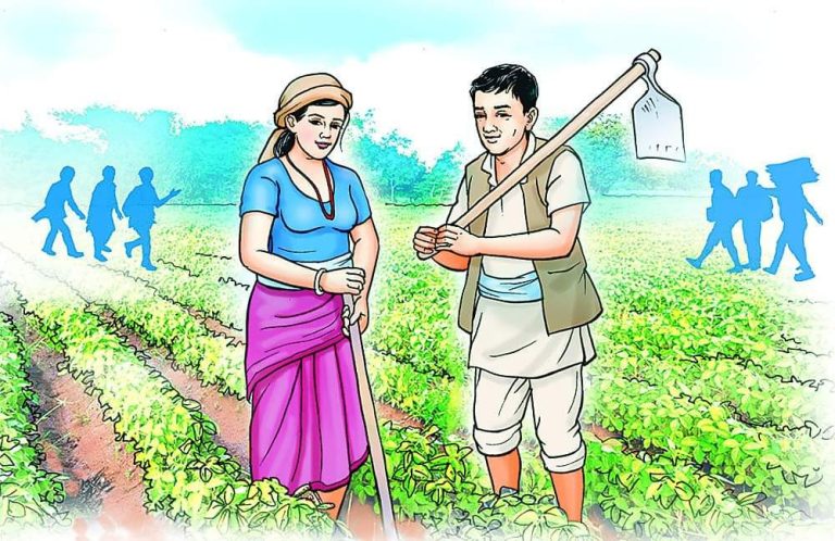 गोलभेँडाले मूल्य नपाउँदा कृषकहरु चिन्तित