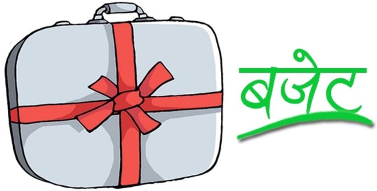 प्रतिनिधिसभाबाट आगामी वर्षको बजेट पारित