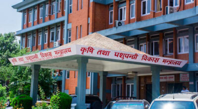 मलमा कालोबजारी देख्नुभयो ? अब मन्त्रालयलाई सिधै फोन गर्नुस्
