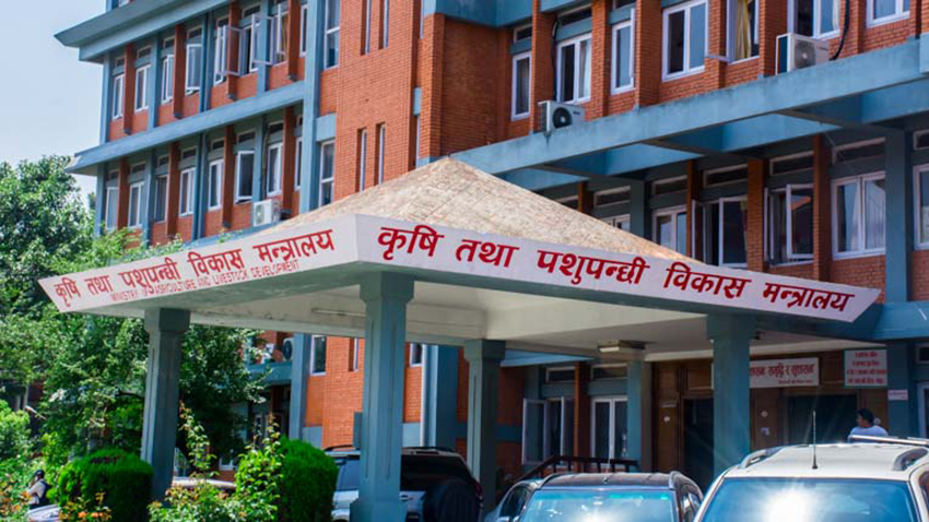 मलमा कालोबजारी देख्नुभयो ? अब मन्त्रालयलाई सिधै फोन गर्नुस्