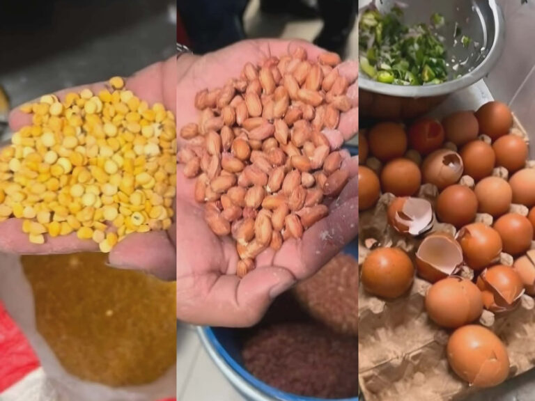 सिंहदरबारको क्यान्टिनमा भेटियो घुन लागेको दाल, ओसिएको बदाम र फुटेको अण्डा