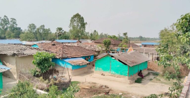 लापरबाही कि बाध्यता ? खुला दिसामुक्त घोषणाकाे ८ वर्ष बढि, मुसहर बस्ती अझै सौचालय बिहिन