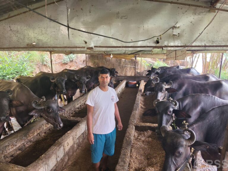 वैदेशिक रोजगार छाडेर आएका युवा जसले एक दिनमै कमाउछन् ३५ हजार, ५ जनालाई रोजगार