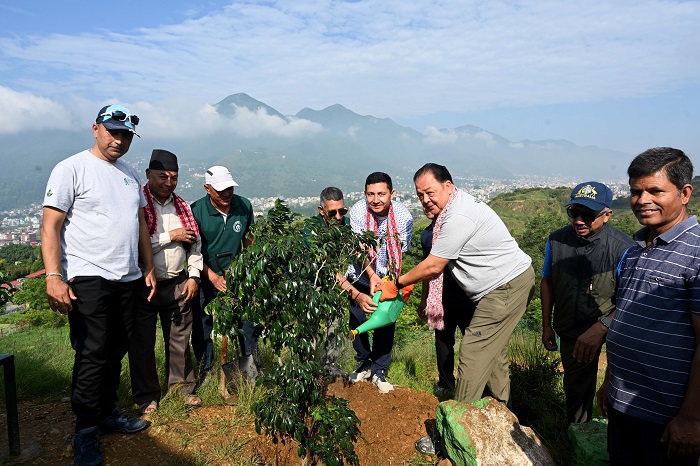 स्ट्यान्डर्ड चार्टर्ड बैंकद्वारा विश्व वातावरण दिवसमा वृक्षारोपण अभियान