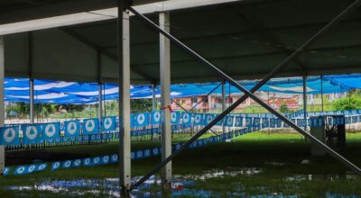 रास्वपा सभापतिको उम्मेदवार बन्न ५१ हजार संगै ५१ जना समर्थक
