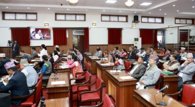 NA meeting: MPs call for addressing Susta border, tea export issues through diplomacy