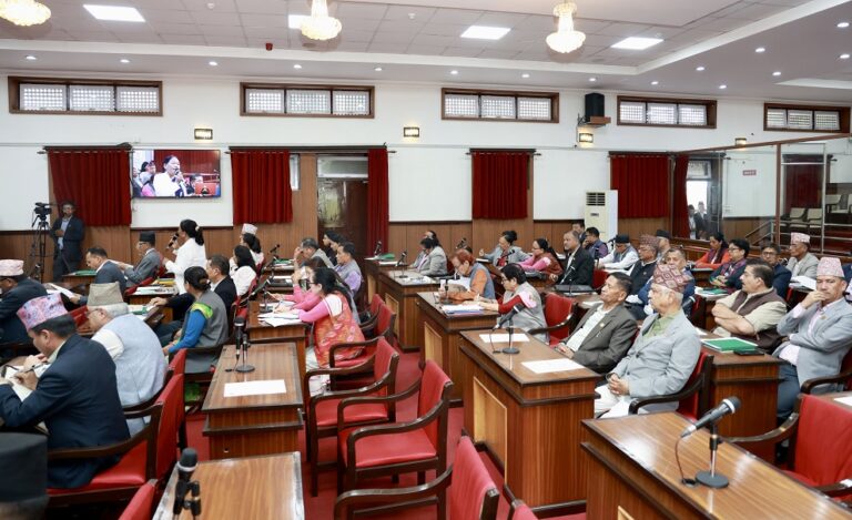 NA meeting: MPs call for addressing Susta border, tea export issues through diplomacy