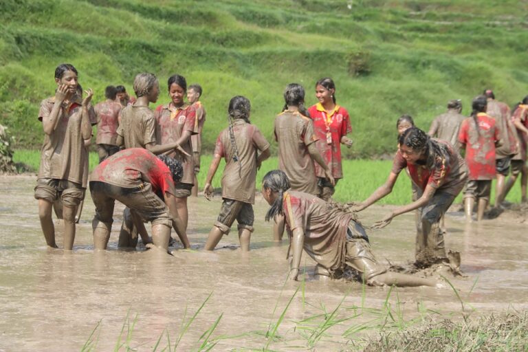 आज धान दिवशः देशभर रोपाईँ (तस्विरहरु)