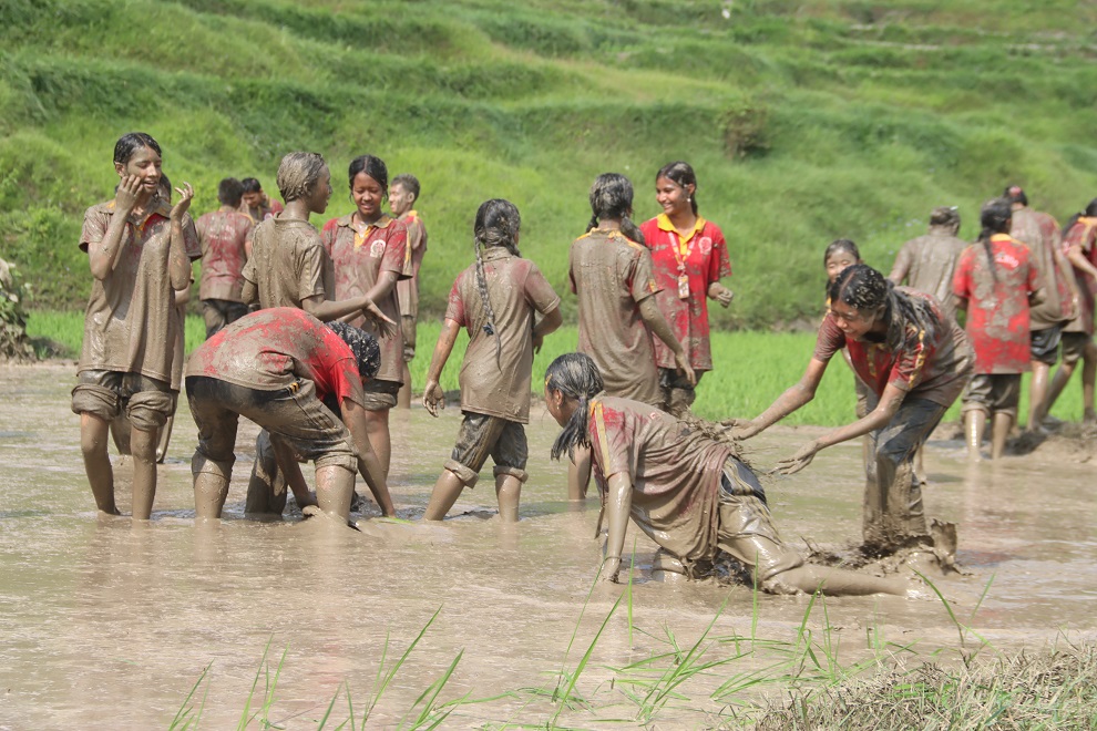 आज धान दिवशः देशभर रोपाईँ (तस्विरहरु)