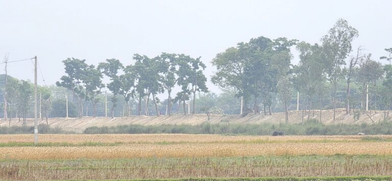 भारतले सीमा क्षेत्रको बाँध अग्लो बनायो : गौर डुबानको उच्च जोखिममा