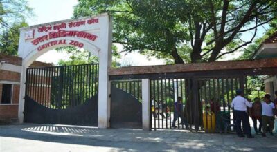 सदर चिडियाखानाका जीवजन्तुमा भेटियो बर्ड फ्लु