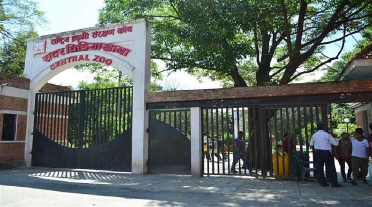 सदर चिडियाखानाका जीवजन्तुमा भेटियो बर्ड फ्लु