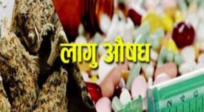 काठभित्र १०० टन लागुऔषध