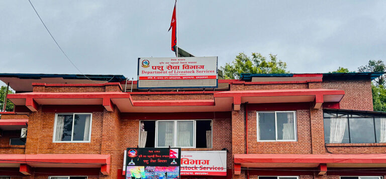 बर्डफ्लु सङ्क्रमित पन्छी बिक्री गरेमा हुनेछ कडा कारबाही