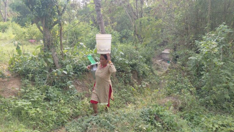दाङको बागर काकाकुल : खानेपानीका लागि आधा घण्टा हिँड्नुपर्ने बाध्यता
