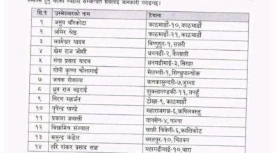 नेपाल इन्जिनियर्स परिषद् रजिस्ट्रार नियुक्तिका लागि १४ जना उम्मेदवार सर्टलिस्ट