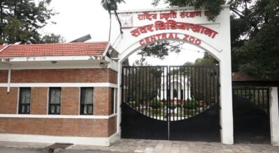 बर्डफ्लुका कारण जावलाखेल चिडियाखानालाई ३ करोड घाटा