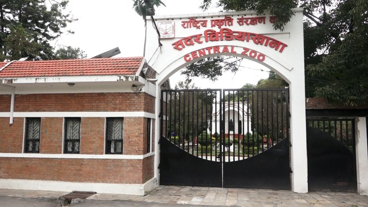 बर्डफ्लुका कारण जावलाखेल चिडियाखानालाई ३ करोड घाटा