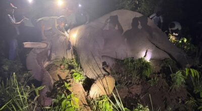 ध्रुवे’लाई ‘रेडियो कलर’ जडान गरि दाह्रा काटेर छाडियो