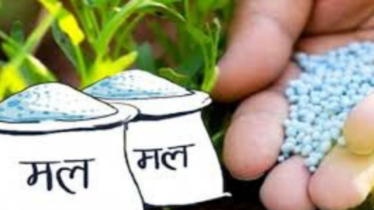 मल वितरणमा सरकारी संयन्त्र चुस्तः १९ दिनमै साढे ४० हजार मेट्रिकटन आपूर्ति