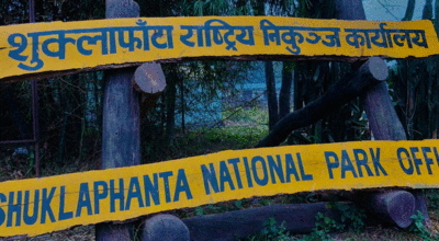 अन्ततः सम्पर्कमा आए निकुञ्जभित्र च्याउ टिप्न गएका महिलाहरू