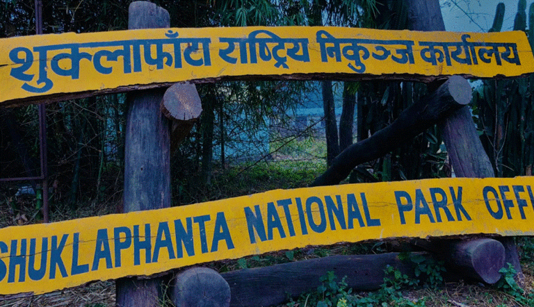 अन्ततः सम्पर्कमा आए निकुञ्जभित्र च्याउ टिप्न गएका महिलाहरू