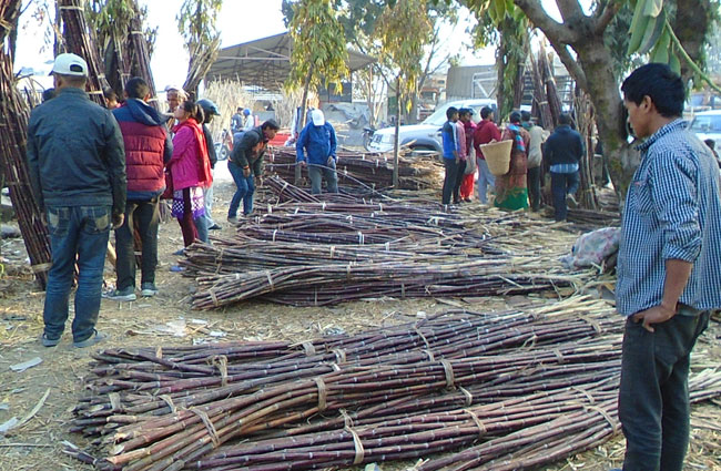 उखु किसानका २ अर्ब रकम भुक्तानी